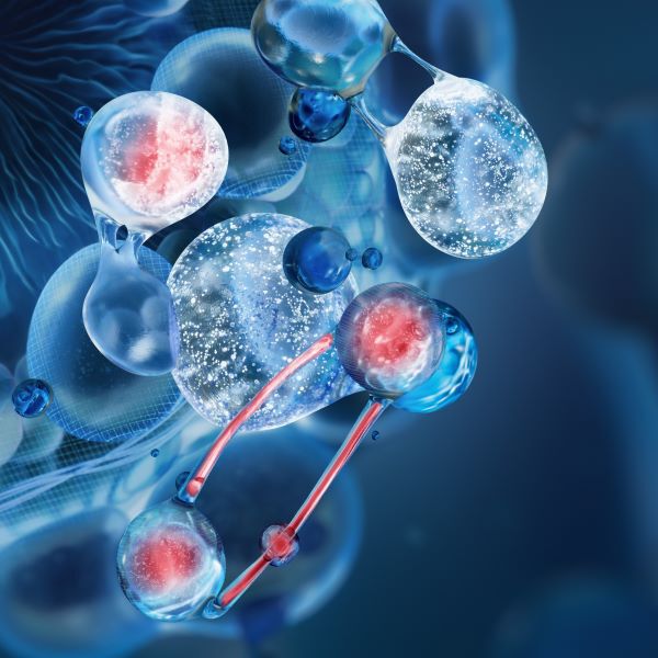 Molecules de fraction de peptides de collagene