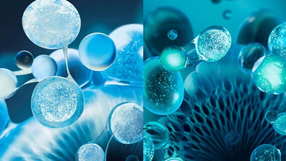 niacinamide and hyaluronic acid ingredients
