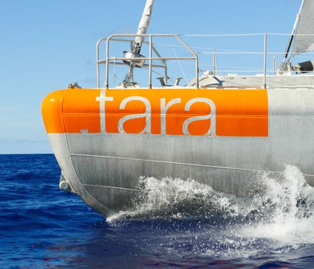 Bateau Tara oceean
