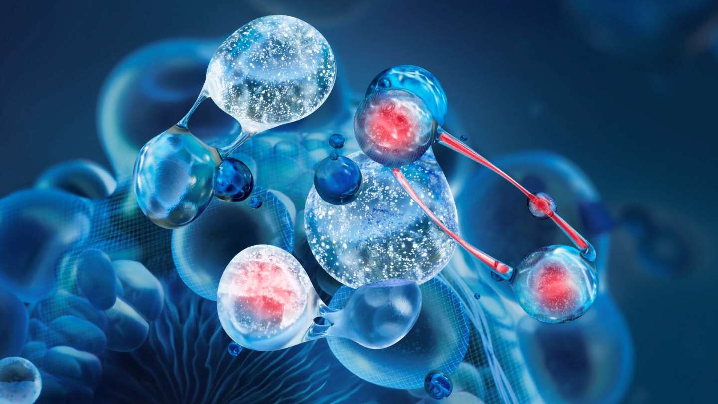 Molecules de fraction de peptides de collagene