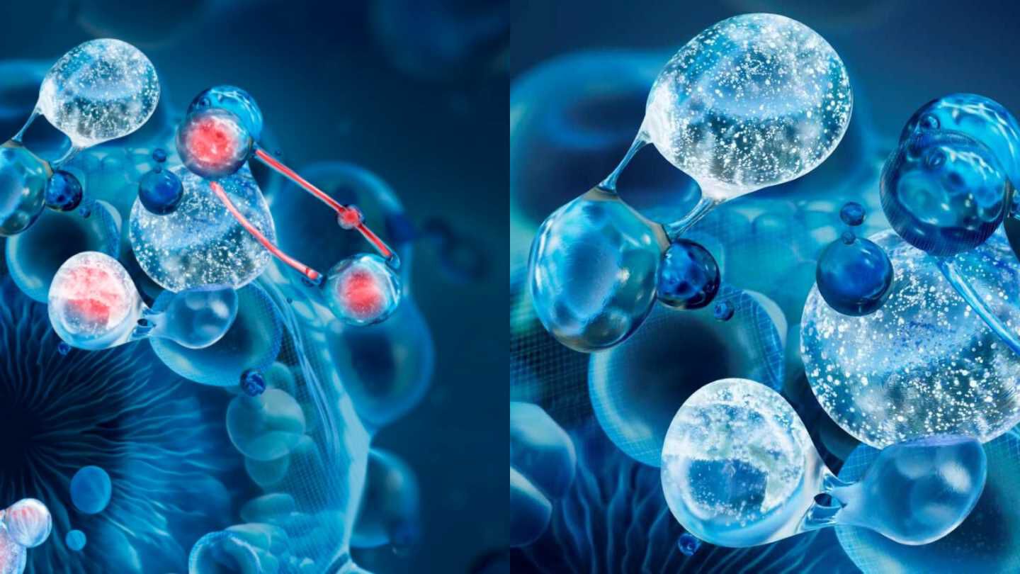 peptides and vitamin C ingredients