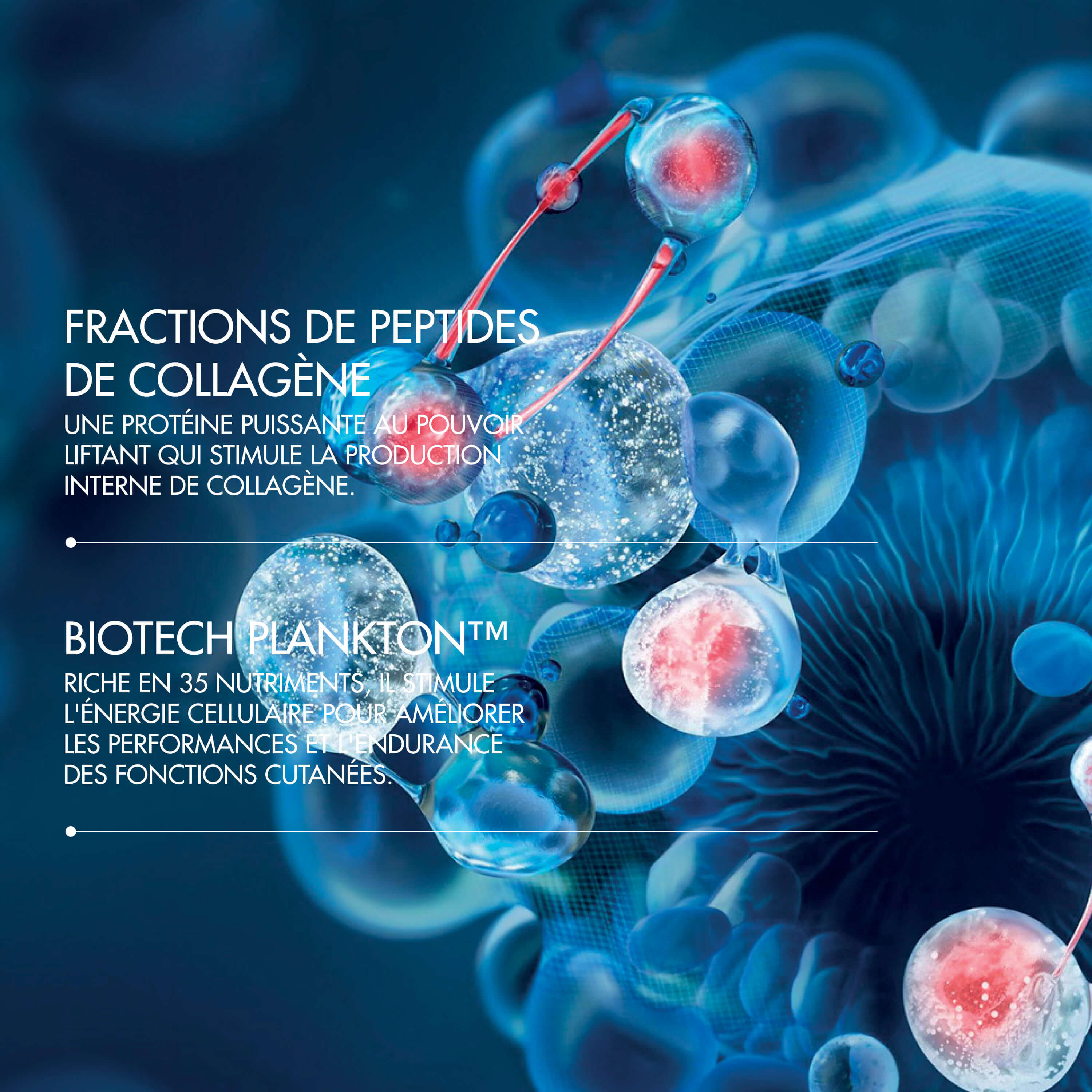 BLUE PEPTIDES UPLIFT CREME JOUR